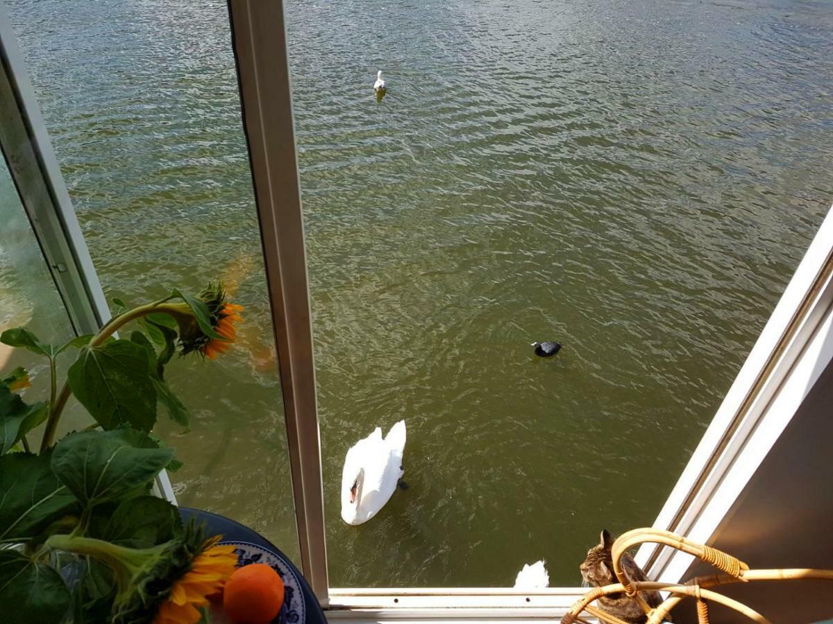 Houseboat Concordia B&B Amsterdam Dış mekan fotoğraf
